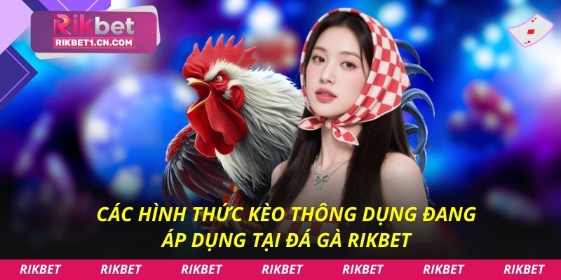 Các hình thức kèo thông dụng đang áp dụng tại đá gà Rikbet