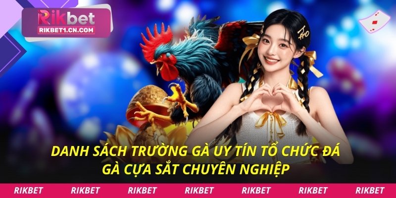 Danh sách trường gà uy tín tổ chức đá gà cựa sắt chuyên nghiệp