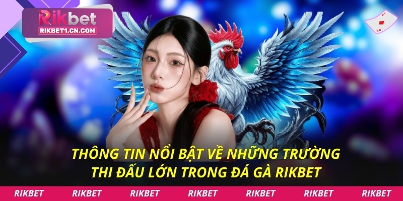 Thông tin nổi bật về những trường thi đấu lớn trong đá gà Rikbet
