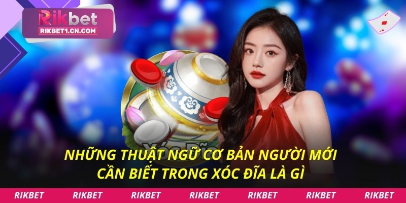 Những thuật ngữ cơ bản người mới cần biết trong Xóc Đĩa là gì