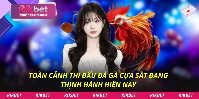 Toàn cảnh thi đấu đá gà cựa sắt đang thịnh hành hiện nay